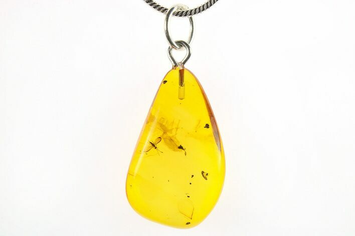 Polished Baltic Amber Pendant (Necklace) - Contains Wasp! #275834